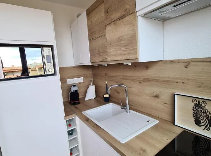 Studio Vue Mer, Balcon, Piscine, Clim, Parking Prive شقة Le Barcarès